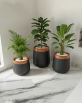 Saturn Collection: Black & Copper Planters (Set of 3)